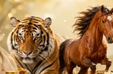 3 con giáp giỏi kiếm tiền nhưng giữ tiền yếu, cải thiện ngay kẻo hậu vận khó khăn