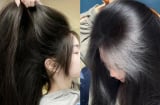 7 loại lá tự nhiên giúp tóc khỏe, giảm rụng, tóc con đua nhau mọc