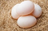 5 người không nên ăn trứng vịt, càng ăn càng hại