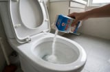 Lý do nhiều người truyền tai nhau đổ muối vào bồn cầu bị tắc nghẽn