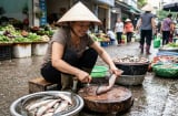 Mẹo khử sạch mùi tanh của cá cực đơn giản