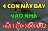 4 con vật tượng trưng cho Thần Tài chúng vào nhà bạn mang nhiều may mắn