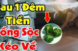 Tại sao nhiều người hay đặt bát chanh muối ở góc nhà?
