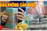 3 con giáp giàu không cản được trong tháng 8 dương: 1 tuổi Trúng Đậm lộc thần tài giàu có