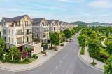 Chung cư Hà Nội giảm giá nhưng vẫn ngang biệt thự vùng ven: Có 10-16 tỷ đồng nên xuống tiền ở đâu?