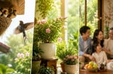 Người xưa báo mộng: 3 dấu hiệu xuất hiện trong nhà được xem là điềm lành, gia chủ dễ gặp thời