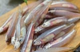 5 loại cá bổ ngang cá hồi nhưng giá rẻ hơn nhiều, chợ nào cũng có
