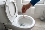 Bỏ 1 tép tỏi vào bồn cầu sáng hôm sau điều bất ngờ xảy ra