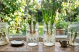 Chỉ cần cắm vào cốc nước, hành lá vẫn xanh tốt: Mẹo đơn giản giúp gia đình có rau gia vị tươi quanh năm