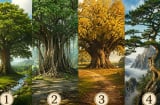Chọn 1 cây cổ thụ để biết điều gì bạn cần bám chắc lúc này