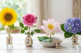 Chọn một bông hoa bạn thích nhất, xem điều gì sắp đến với bạn trong tháng 8