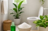 Đặt thứ này trong nhà vệ sinh giúp khử mùi hôi hiệu quả mà không cần sáp thơm, không cần nước xịt