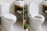 Nhiều người đang làm sai: Nên đóng hay mở nắp bồn cầu sau khi dùng xong?