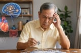 Suy giảm trí nhớ bắt nguồn từ tim mạch, đường ruột hay não bộ?