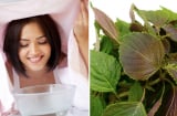 Xông mặt bằng lá tía tô có thực sự tốt? Những điều cần biết để tránh gây hại cho làn da