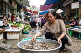 Đi chợ mua tôm nên chọn tôm cong hay tôm thẳng?