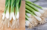 Phần rễ hành lá không phải đồ bỏ đi, giữ lại có lợi ích đặc biệt