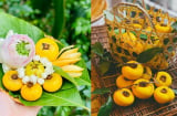 Tại sao quả thị ăn được nhưng người ta chỉ để ngửi chứ không ăn?