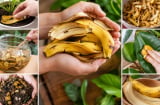 Vỏ chuối đừng vội bỏ, 6 cách tận dụng đơn giản mang lại nhiều công dụng