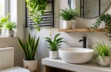 Vì sao nên để chậu cây nhỏ trong nhà tắm, nhà vệ sinh?