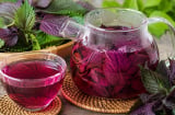 Cách nấu nước lá tía tô lên màu đẹp, thơm dịu mà vẫn giữ được nhiều hợp chất tốt
