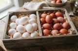Mua trứng gà nên chọn trứng vỏ màu trắng hay màu đỏ?