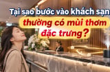 Tại sao bước vào khách sạn thường có mùi thơm đặc trưng?