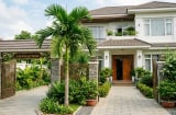 Vì sao nhiều gia đình thích trồng cây cau trước cửa? Không chỉ vì đẹp