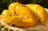 Ai không nên ăn sầu riêng?