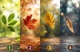 Trắc nghiệm: Chọn 1 cành lá bay để xem lúc này bạn cần nắm giữ điều gì quan trọng nhất