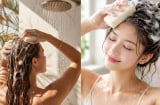 Có nên gội đầu hàng ngày? Bao lâu gội một lần để da đầu sạch mà tóc vẫn khỏe?