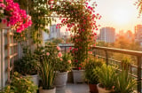 Ban công hướng Tây nên trồng cây gì? Gợi ý 7 loại cây vừa đẹp vừa giúp không gian dịu mát