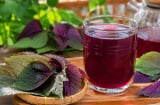 Uống nước tía tô vào thời điểm nào tốt?