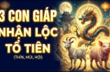 31/8 - 6/9: Có 3 tuổi là con cưng của Thần Tài, cát tinh chiếu mệnh