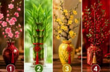  Chọn 1 cành lộc để xem vận tài chính của bạn đang theo xu hướng nào