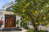 Có nên trồng cây khế trước nhà?