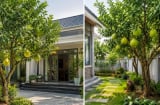 Trồng cây bưởi phong thủy nên trồng trước hay sau nhà? Vị trí nào hút tài lộc, tránh phạm điều kiêng kỵ?