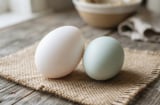 Chọn trứng vịt nên chọn trứng vỏ trắng hay vỏ xanh?