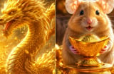 Từ 5/9-15/10 dương lịch: 3 con giáp công danh thăng tiến, tài vận lên hương, càng làm càng có lộc