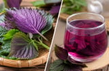 Uống nước tía tô hay ăn lá tía tô tốt hơn?