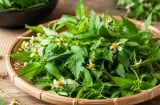 Cỏ xuyến chi hóa ra lại là một loại rau dùng được cả thân mà nhiều người chưa biết
