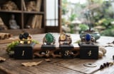 Chọn chiếc nhẫn phong thuỷ bạn ấn tượng nhất