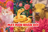 7 - 13/9 này, 4 con giáp này như bơi giữa biển Tiền