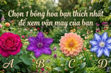 Chọn 1 bông hoa bạn thích nhất để xem vận may của bạn