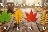 Đâu là chiếc lá bạn thích nhất để khám phá vận may tháng 9?