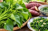 Tin vui cho những người thích ăn rau khoai lang: Món dân dã này có nhiều điều đáng giá hơn bạn nghĩ