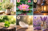 Chọn 1 hình vẽ bạn thích nhất: Xem cách bạn đối diện với thất bại
