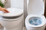 Dùng xong nên đóng hay mở nắp bồn cầu? Nhiều người đang làm ngược cách vệ sinh đúng
