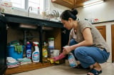 Thấy cả ổ gián trong nhà, đừng vội xịt thuốc: Việc đầu tiên nên làm mới quyết định có diệt tận gốc hay không