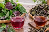 Uống nước lá tía tô tươi hay khô thì tốt hơn?